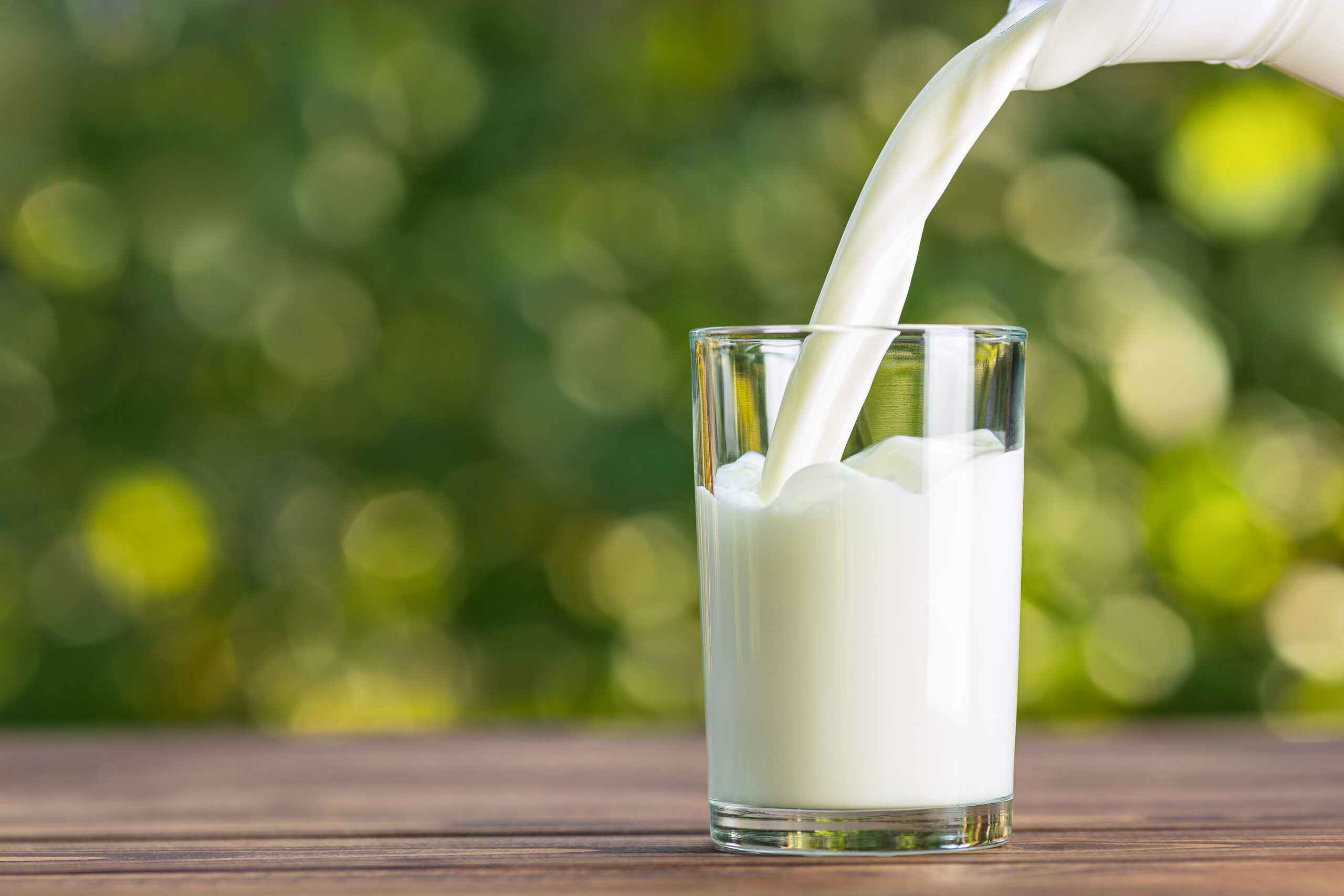 Hype um Milchstudie – was steckt wirklich dahinter?