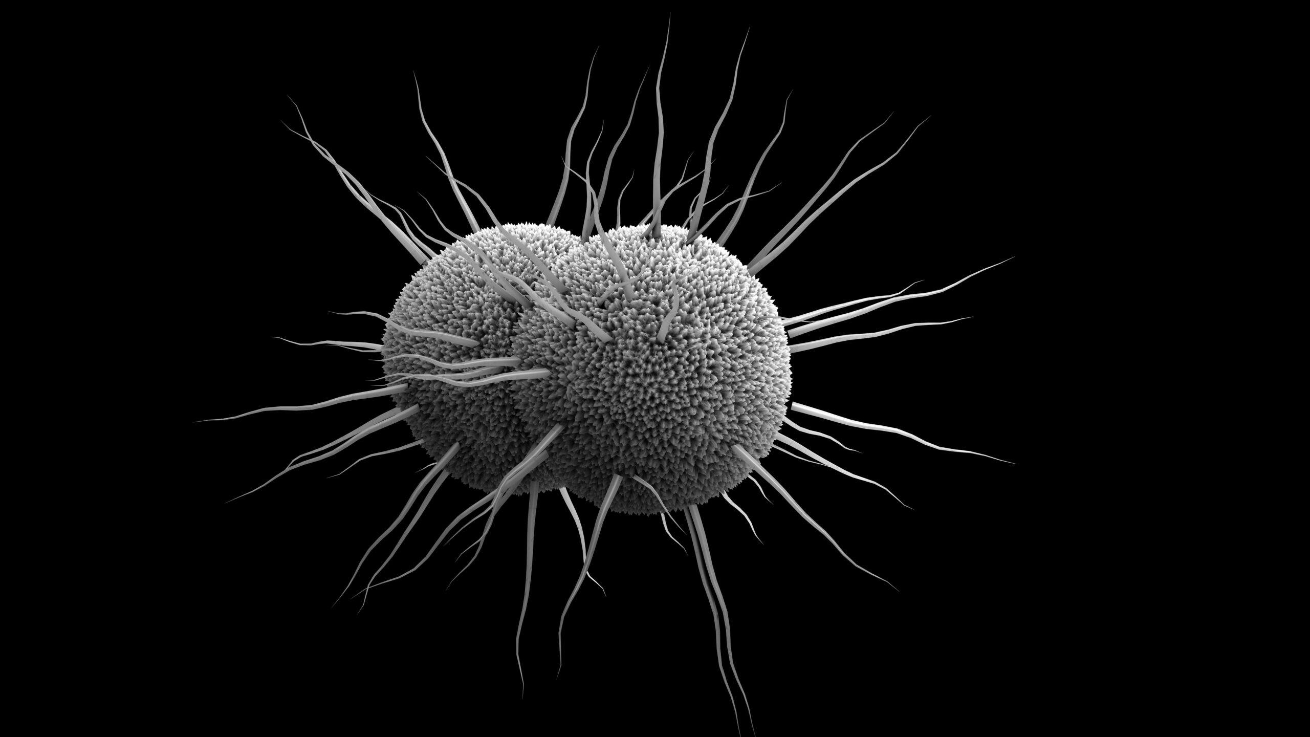 Neues Antibiotikum wirkt gezielt gegen Gonorrhö