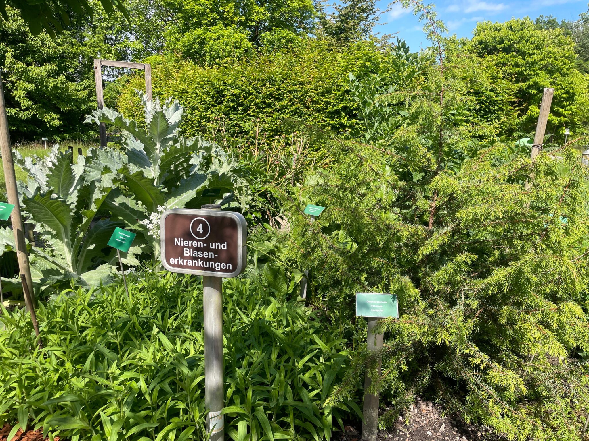 Vom Beet ins Buch 30 Jahre Salzburger ApothekerKräutergarten TARA24