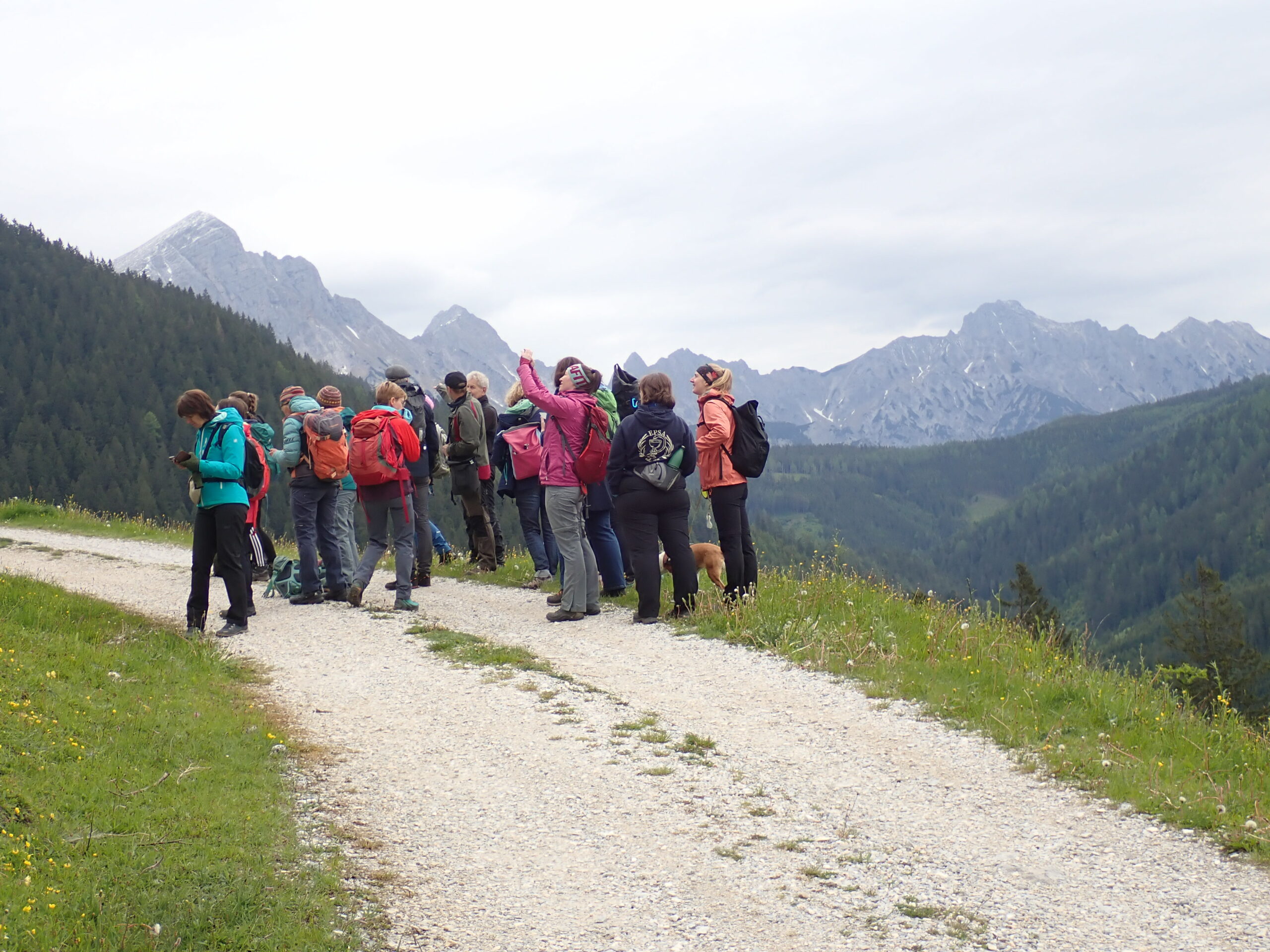 Wenn Apothekerinnen wandern, kommen sie nicht weit