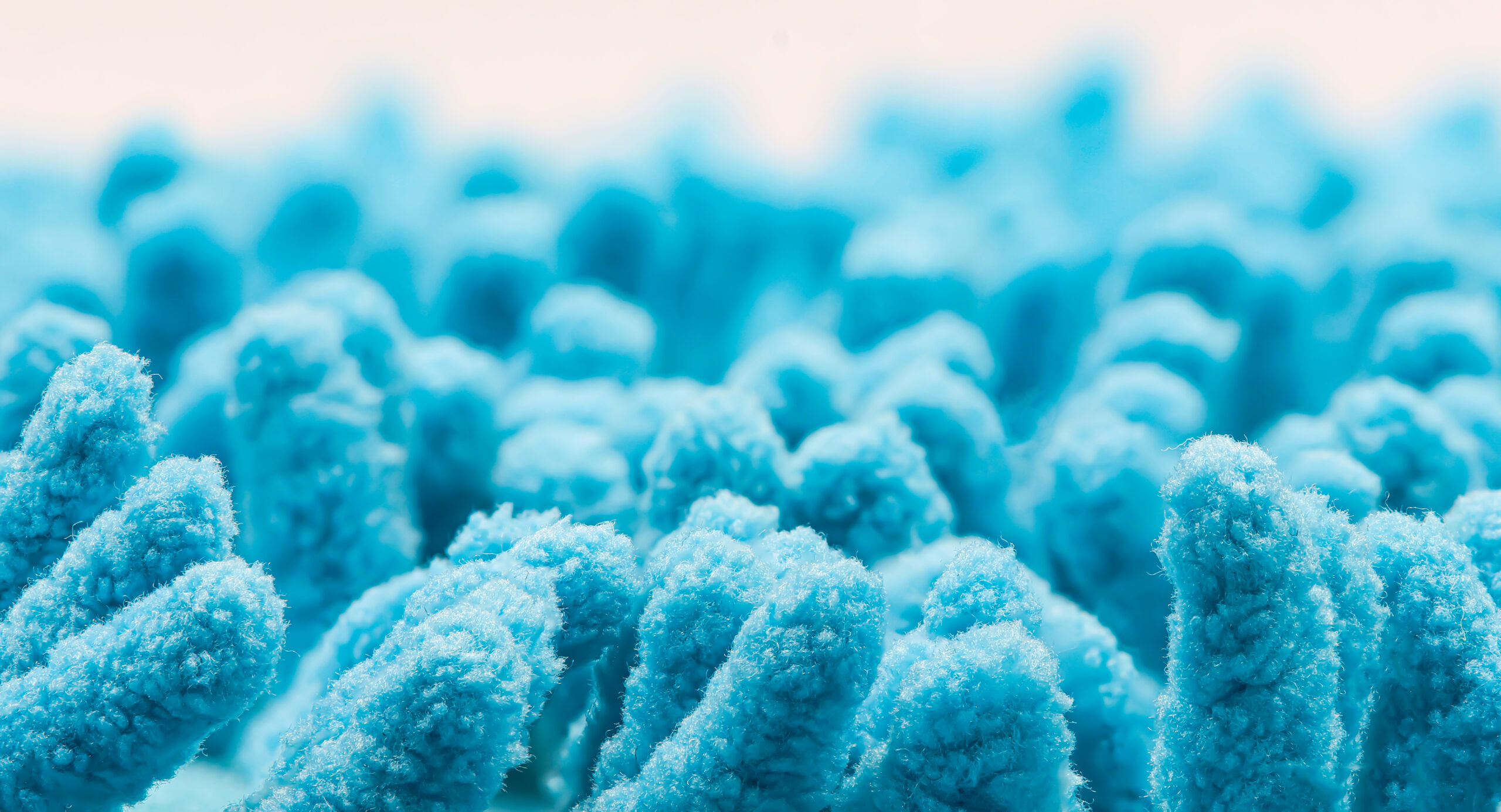 Blau eingefärbte Darmzotten in hoher Auflösung