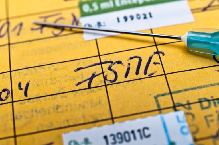 Symbolbild: Auf dem Internationalen Impfpass (in gelb) steht das Wort "FSME" geschriebenen. Auf ihm liegt eine Spritze mit Nadel.