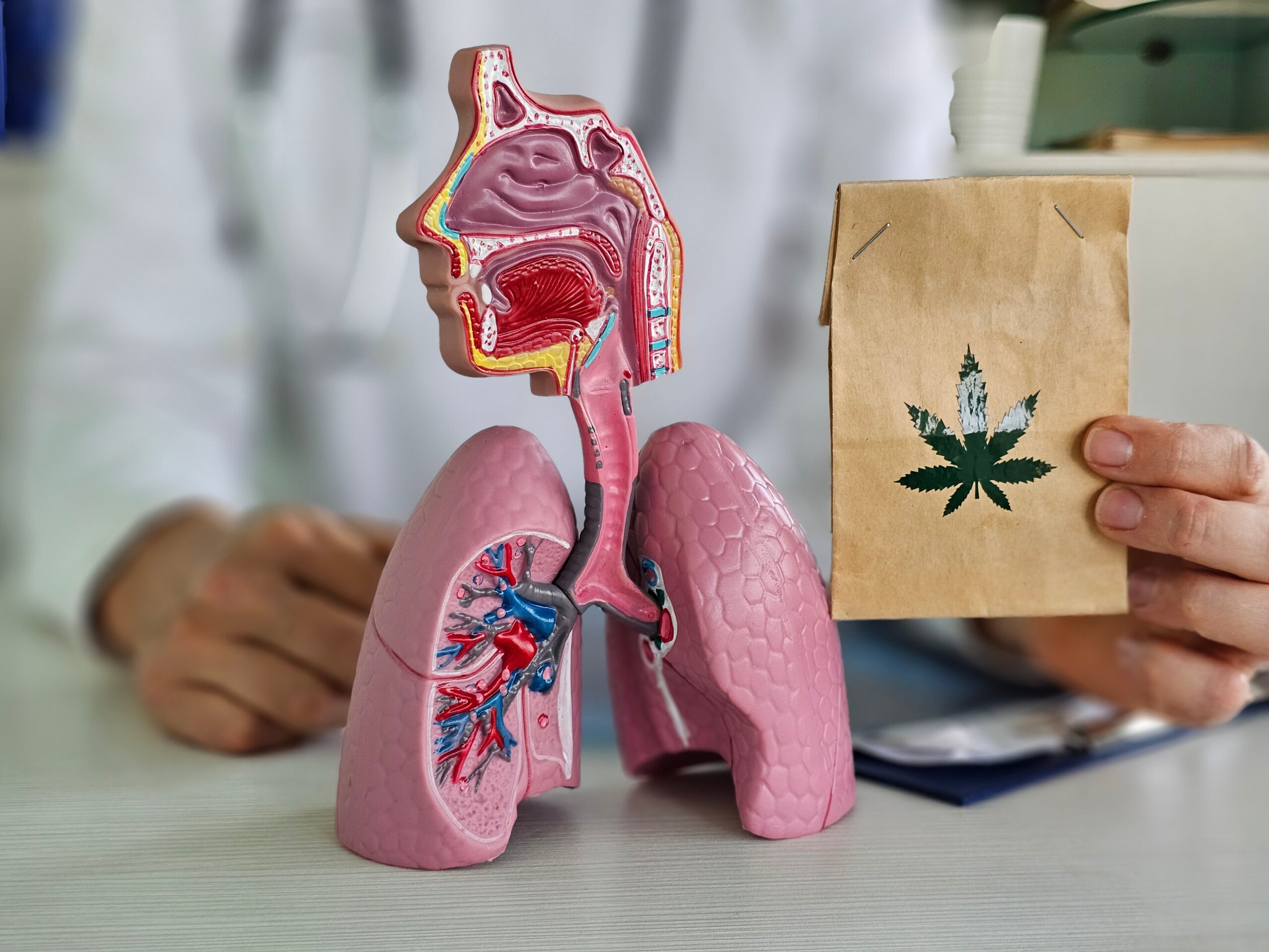 Asthma durch Cannabis? Metaanalyse zeigt erhöhtes Risiko
