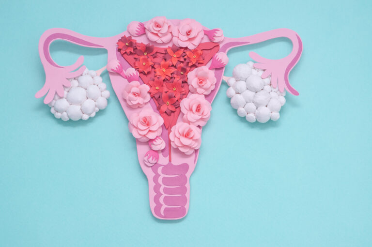 Symbolbild: Ein Papier Uterus wird mit Blumen ausgeschmückt.