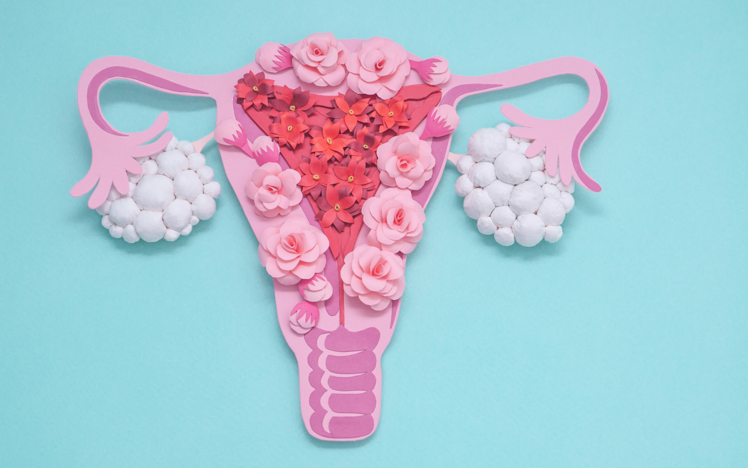 Symbolbild: Ein Papier Uterus wird mit Blumen ausgeschmückt.
