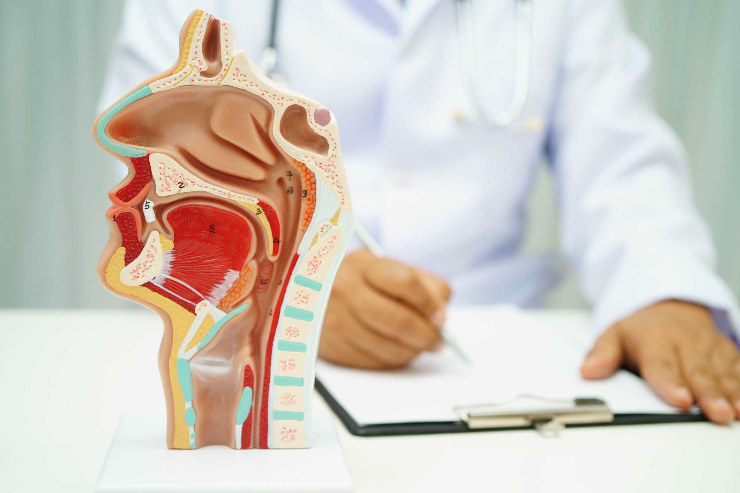 Riech-Rezeptoren in den Nieren steuern Blutdruck und Blutzucker