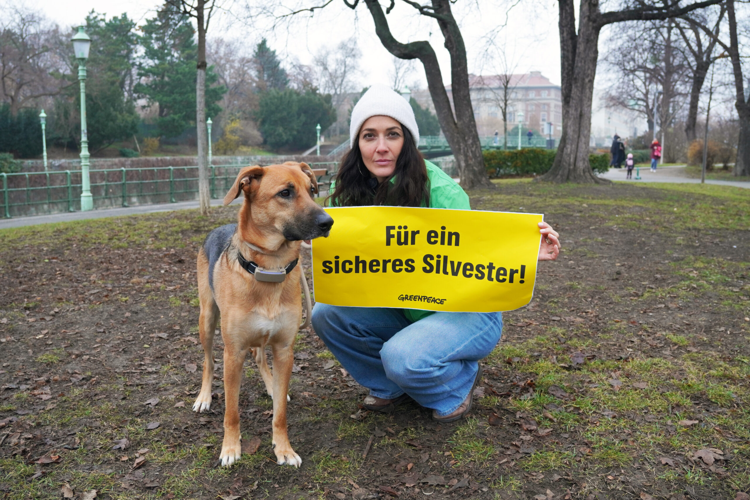 Eine Dame kniet neben einem Hund. Sie hält einen Banner mit der Aufschrift "Für ein sicheres Silvester".