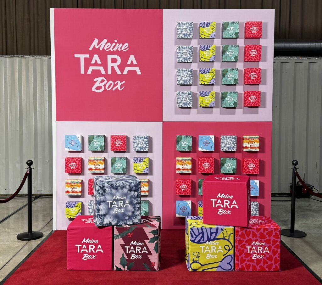 Meine Tara Box Kulisse mit den Boxen aus Schaumstoff und rotem Teppich.