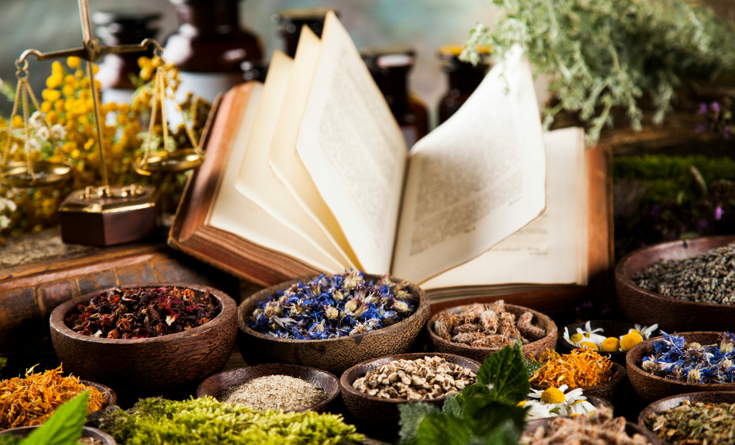 Symbolbild: Ein altes buch ist von vielen Teedrogen umringt.