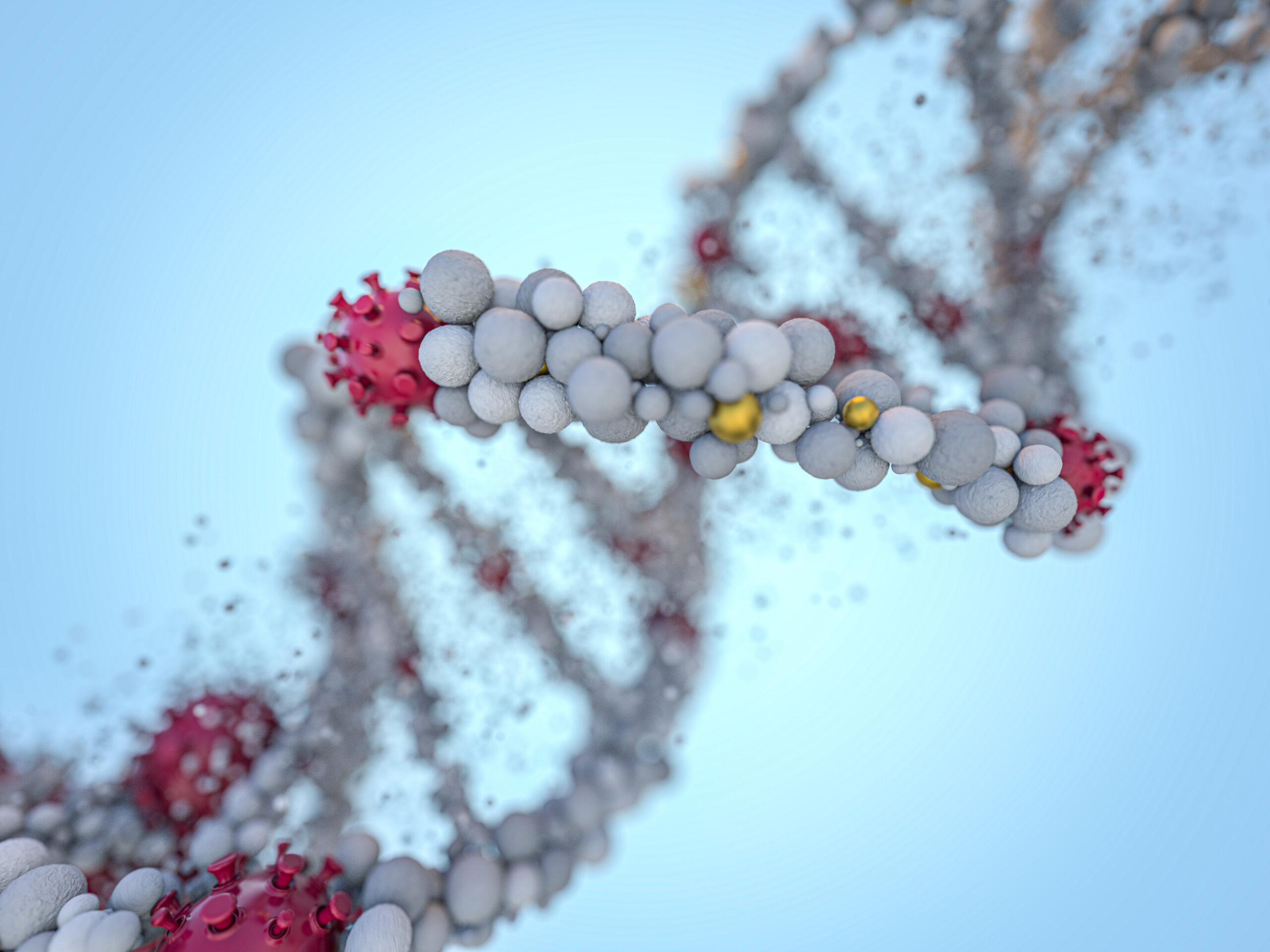 Symbolbild: Eine DNA ist mit einem Virus dargestellt. Er legt sich an sie an.