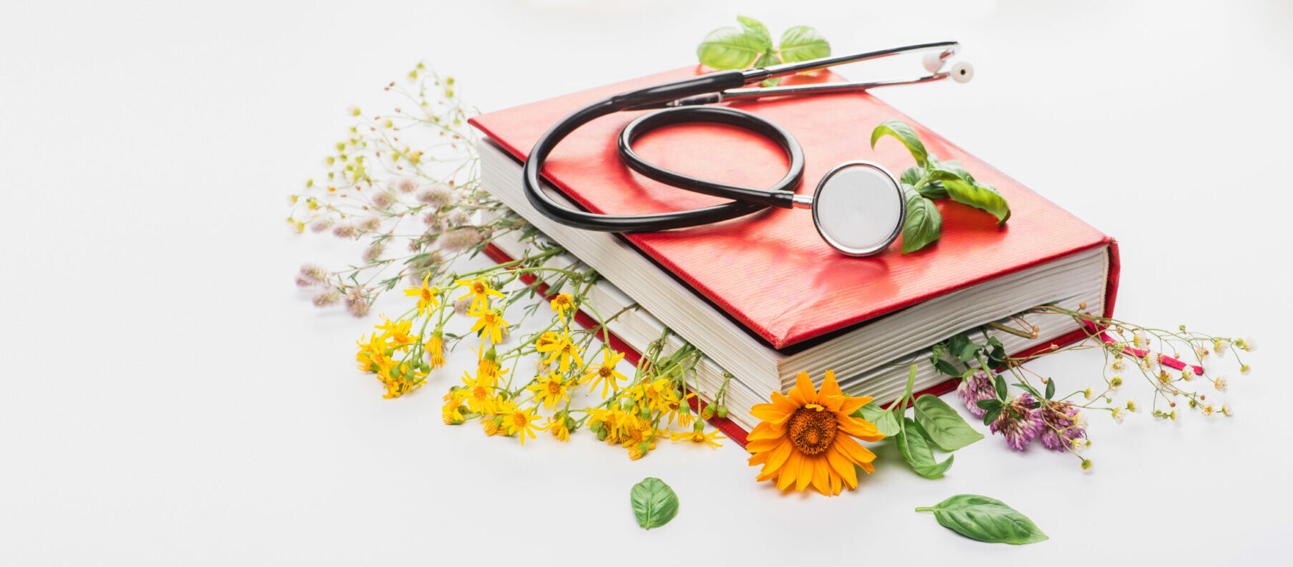 Symbolbild: Ein Buch aus dem Kräuter heraushängen.