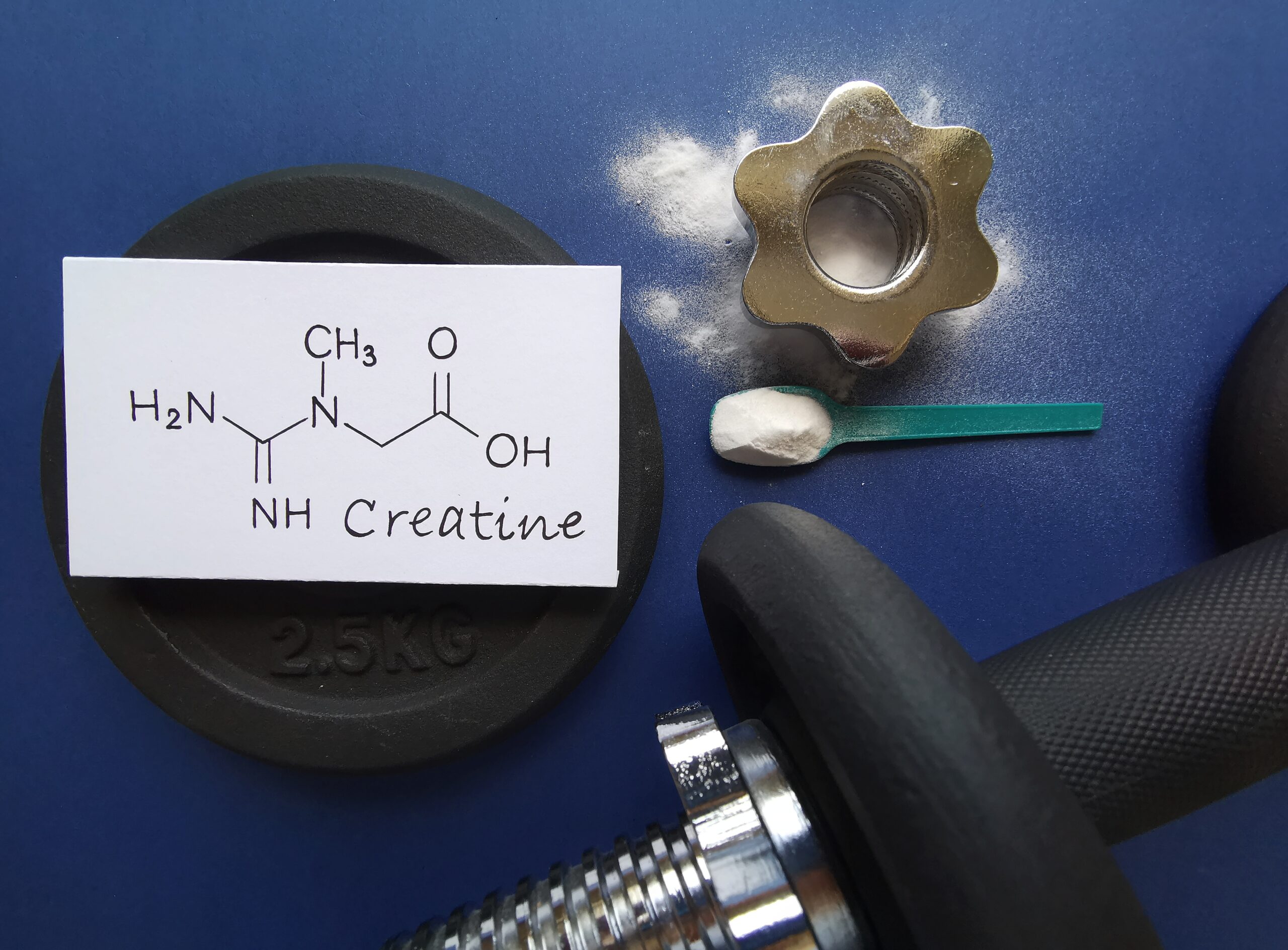 Starke Muskeln, schwache Nieren? Kreatin, Kreatinin und Cystatin C