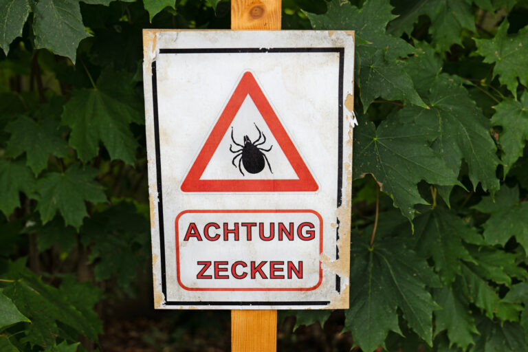 Warnschild "Achtung Zecken" mit Zeckensymbol vor grünem Laub im Hintergrund.