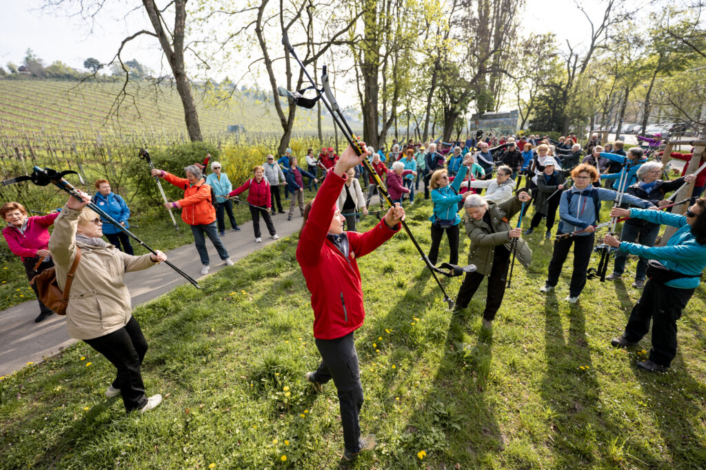 Menschen wärmen sich in den Weinbergen mit ihren Stöcken auf.