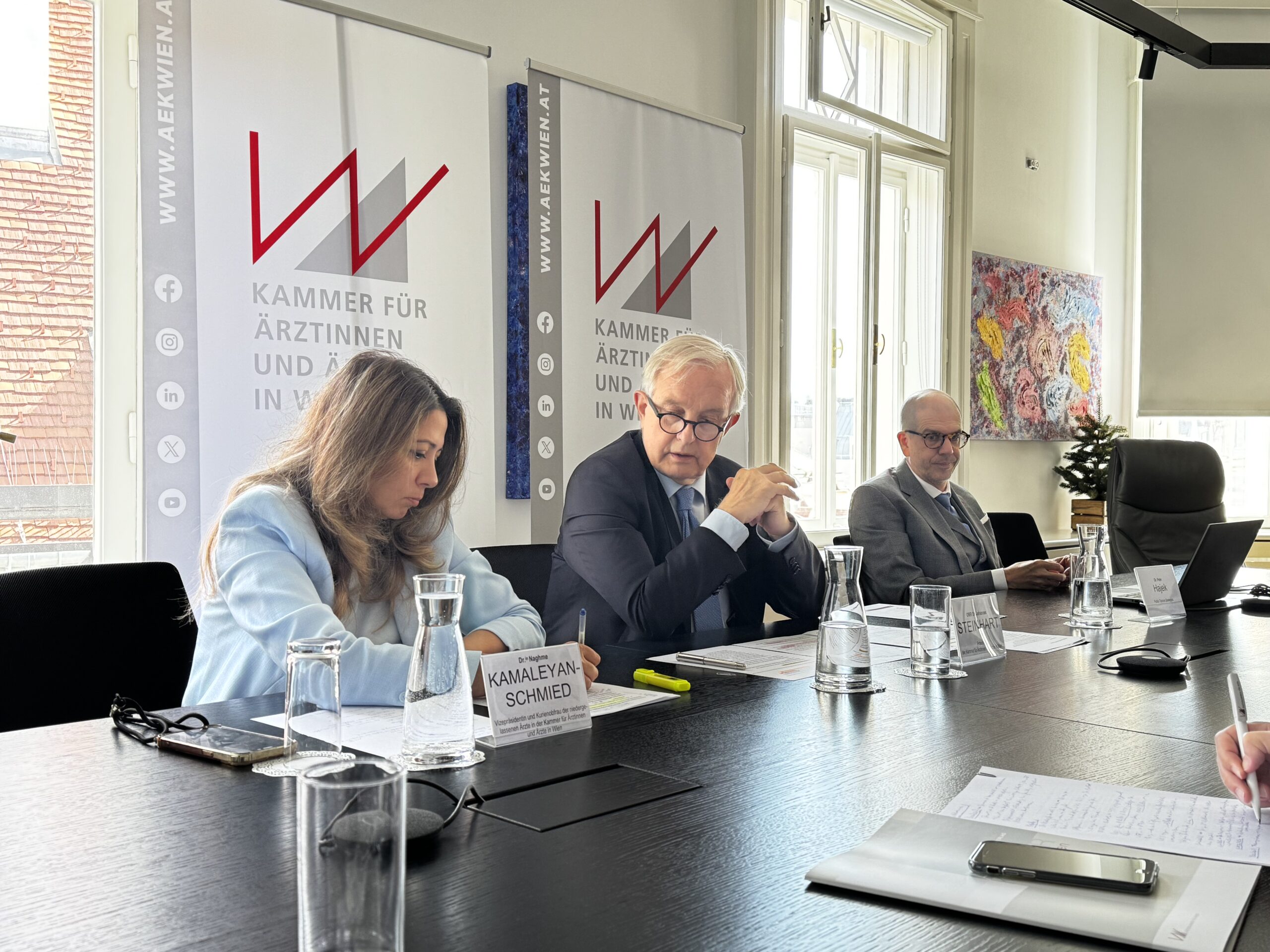 Pressekonferenz der Wiener Ärztekammer.