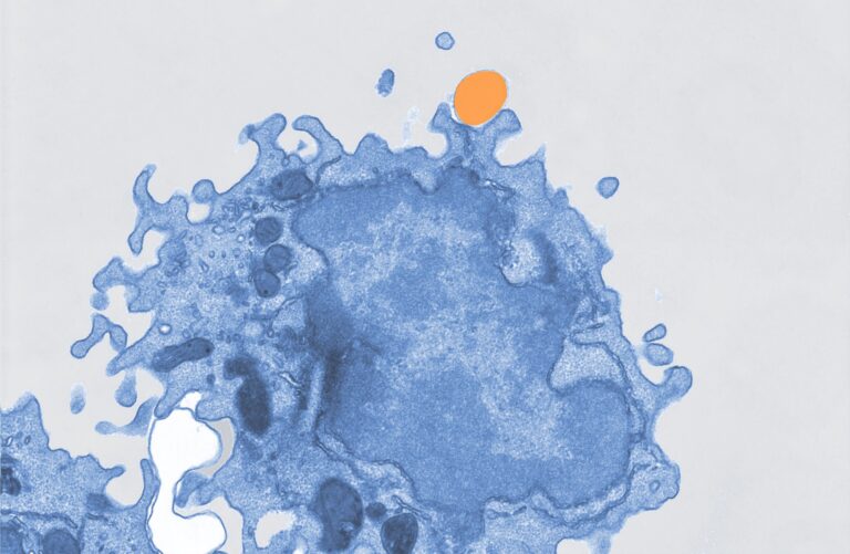 Makrophage in blau nimmt Mikroplastik auf